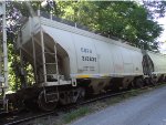 Derailed CBFX 313838